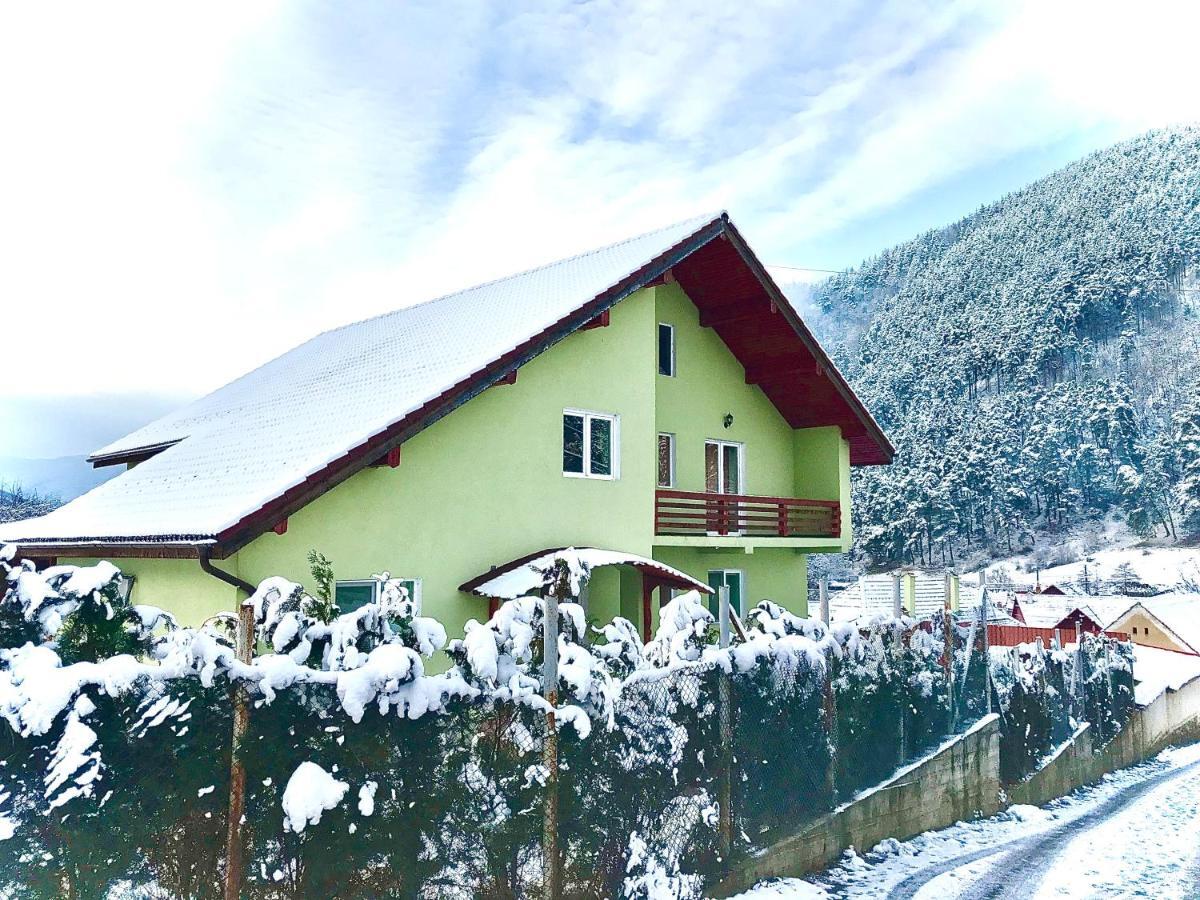 Green House Gura Rîului Εξωτερικό φωτογραφία